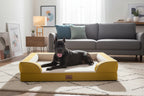 Black dog lying on a yellow pet bed with a white background